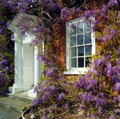 Painting Sash Windows