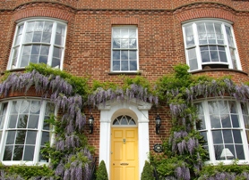 Decorating Sash Windows